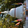 960.07 dsc_0226